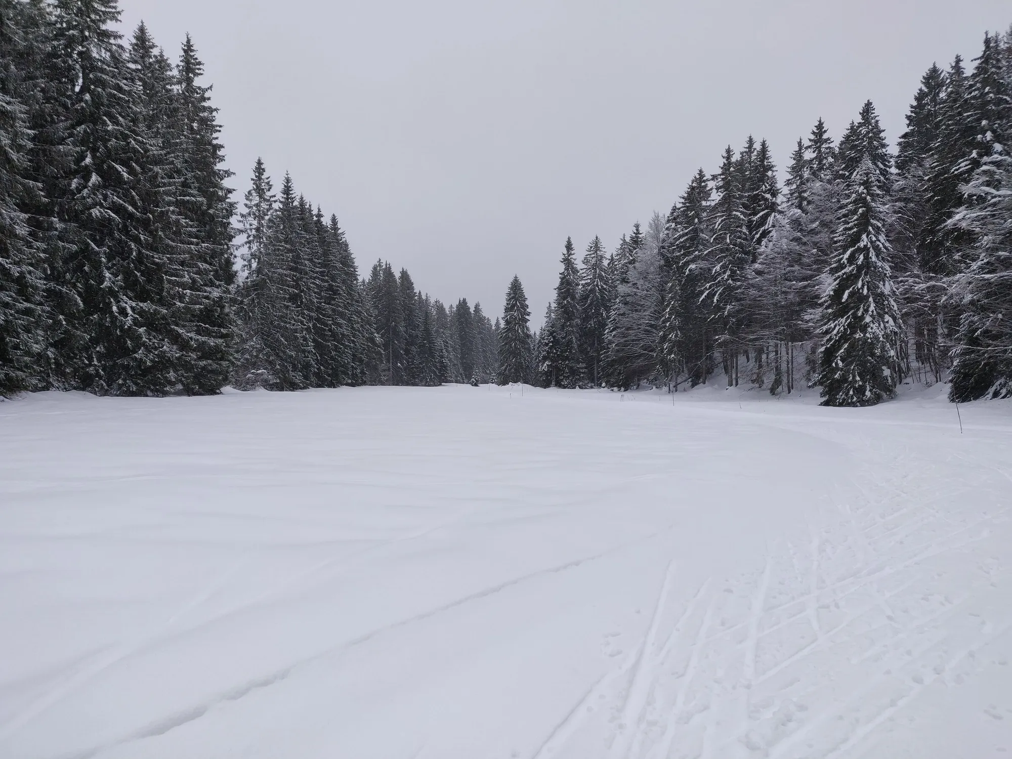 Webcams et enneigement des pistes