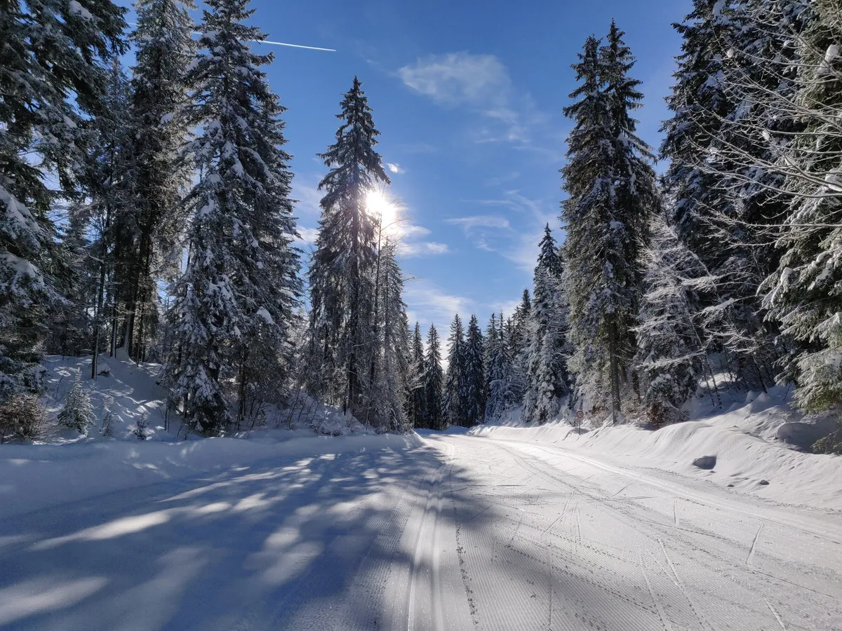 Route enneigée dans la forêt d’épicéas du Haut-Jura, près de Chapelle-des-Bois