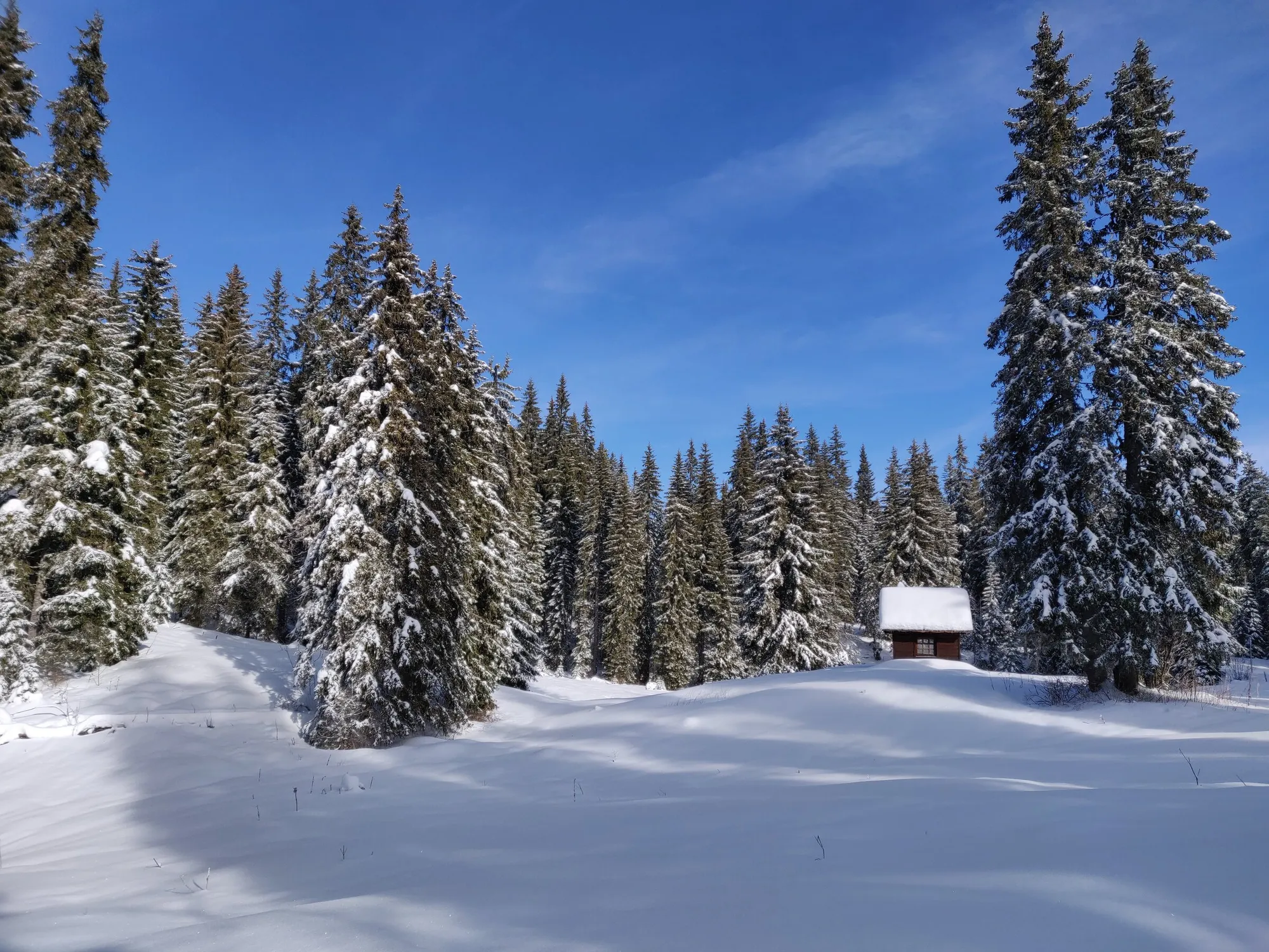 Ski de fond et raquettes à Chapelle-des-Bois
