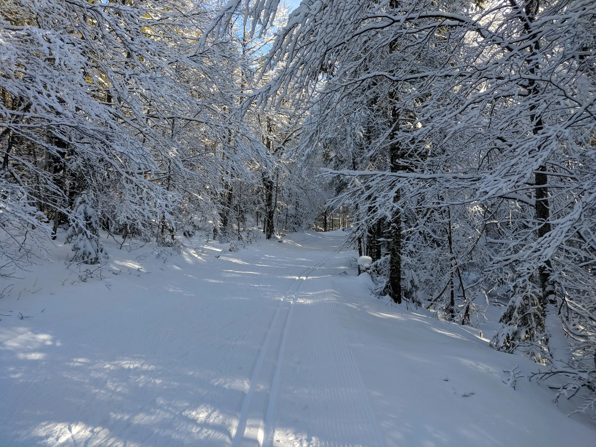 Activités autour des Hauts Bois