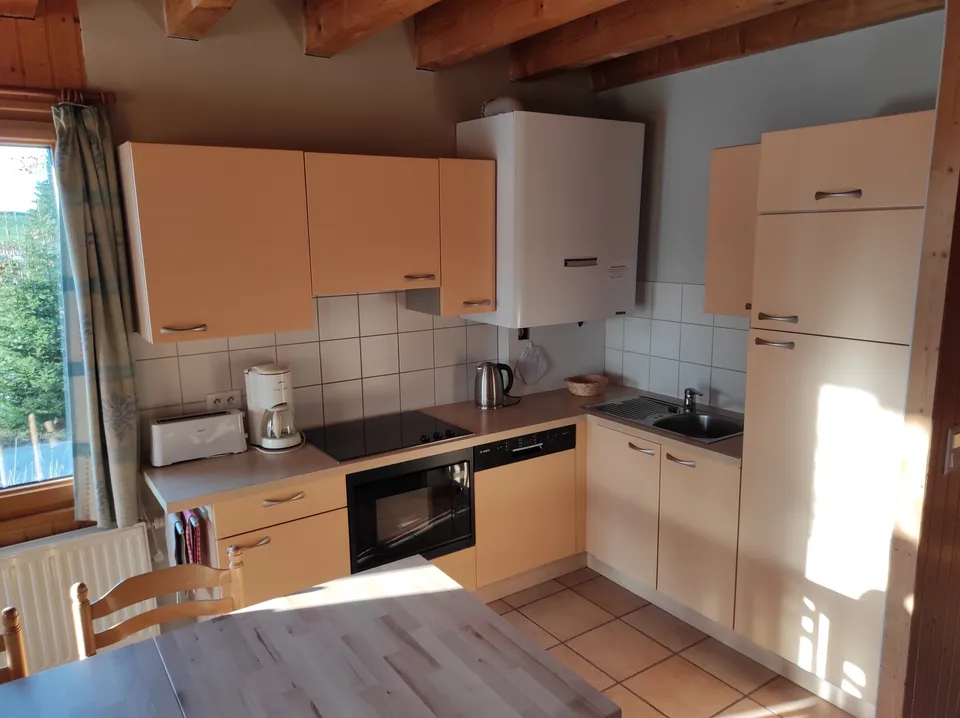 Cuisine équipée ouverte sur le séjour – Chalet Anémone (4)