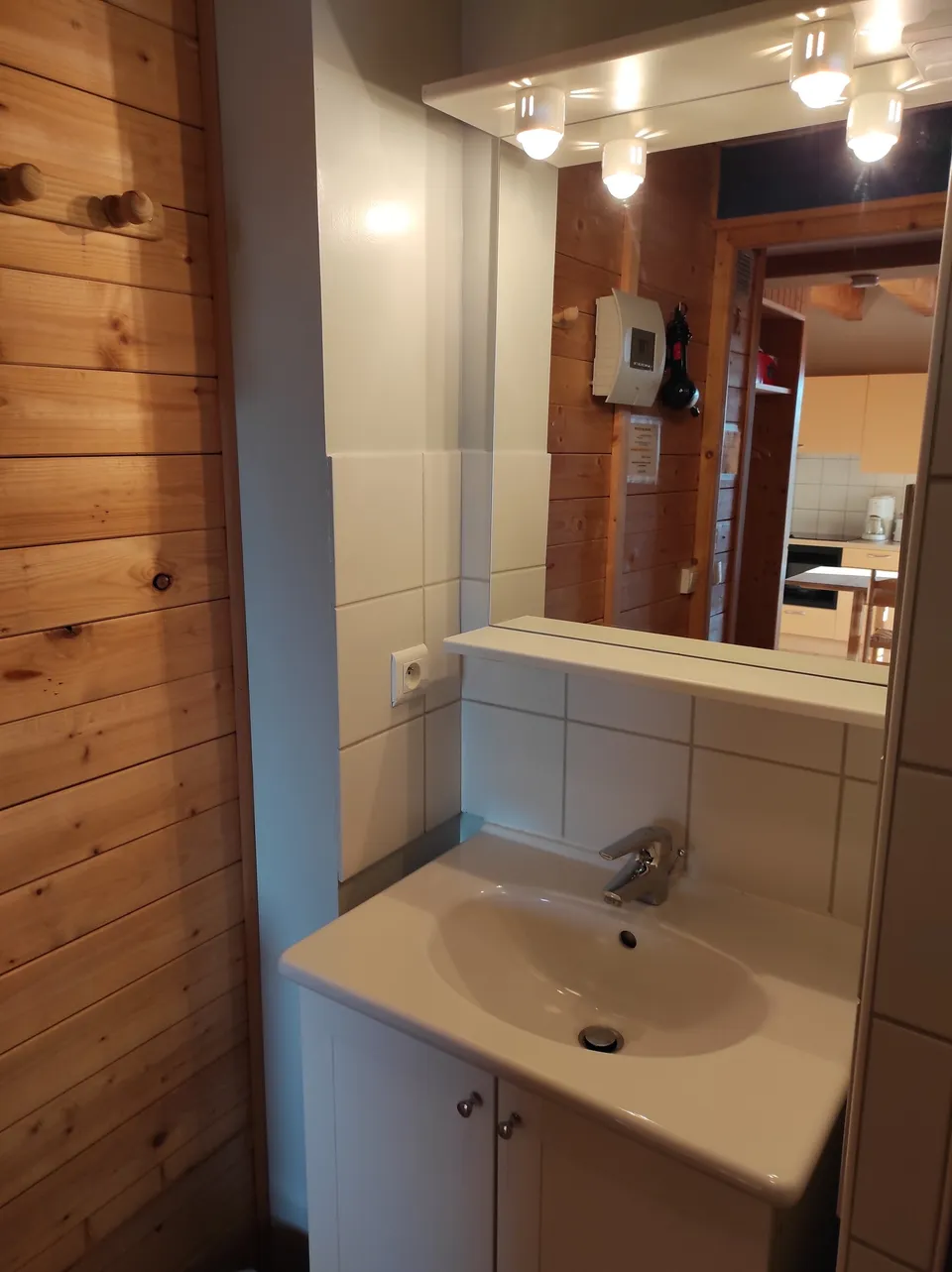 Salle de bain (douche et lavabo) – Chalet Anémone (1)